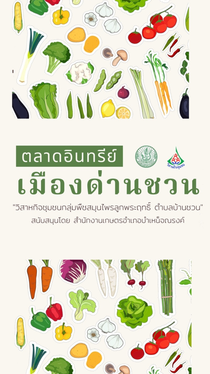 ตลาดอินทรีย์เมืองด่านชวน