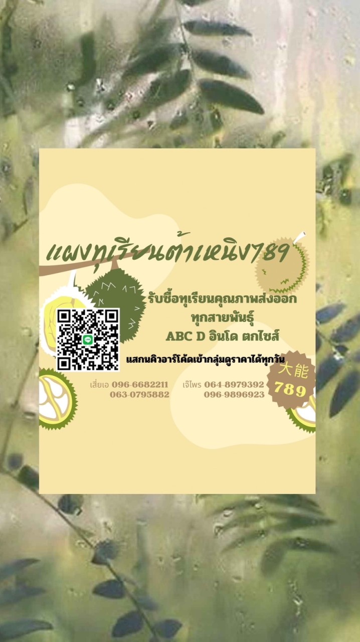 แผงทุเรียนต้าเหนิง789大能789