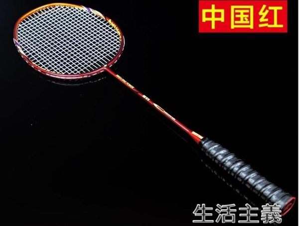 球拍 正品羽毛球拍2支全碳素成人進攻型雙拍羽拍耐打耐用型4U碳纖維 生活主義