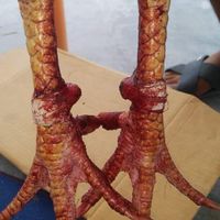 ตีปลายตอ  พม่าแข้งคม