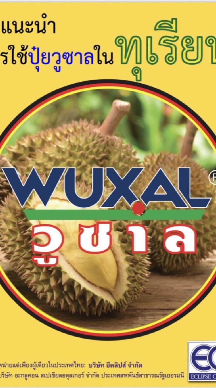 วูซาล ทุเรียน (East)