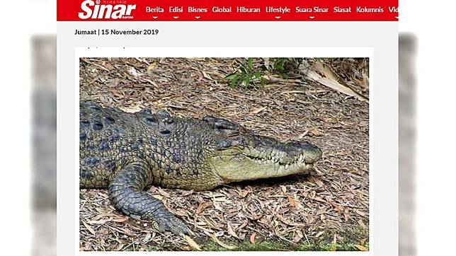 圖／翻攝自 Sinar Harian