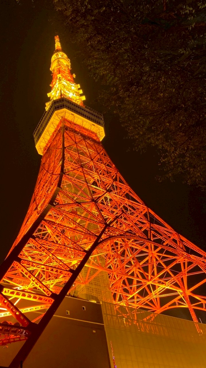 Viola Queen 12/4-12/7 東京代購