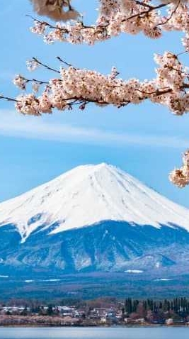 JP熱日本韓國🇯🇵🇰🇷卡通商品／生活百貨／第一手批發