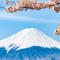 JP熱日本韓國🇯🇵🇰🇷卡通商品／生活百貨／第一手批發