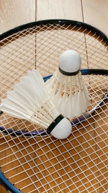 B類バドミントン部2026新歓