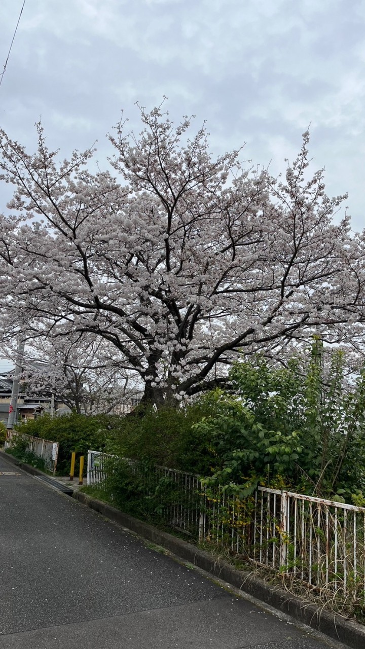 青松園自治会防災LINE