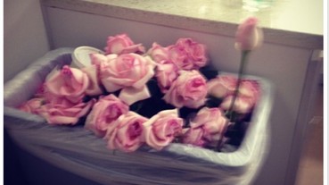 網友們的悲慘情人節…情侶去死團看完一定會覺得好過一點！