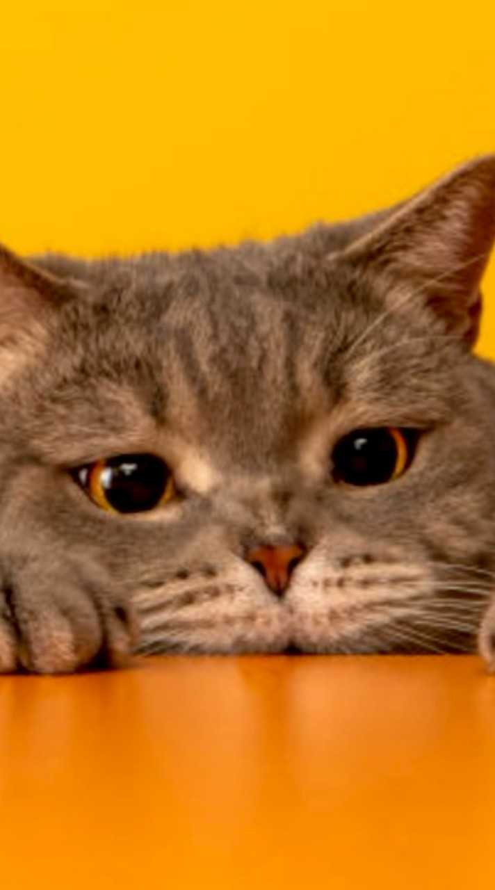 難聴の皆さん楽しく話しましょう！