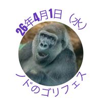 26年4月1(水)ノドのゴリフェス