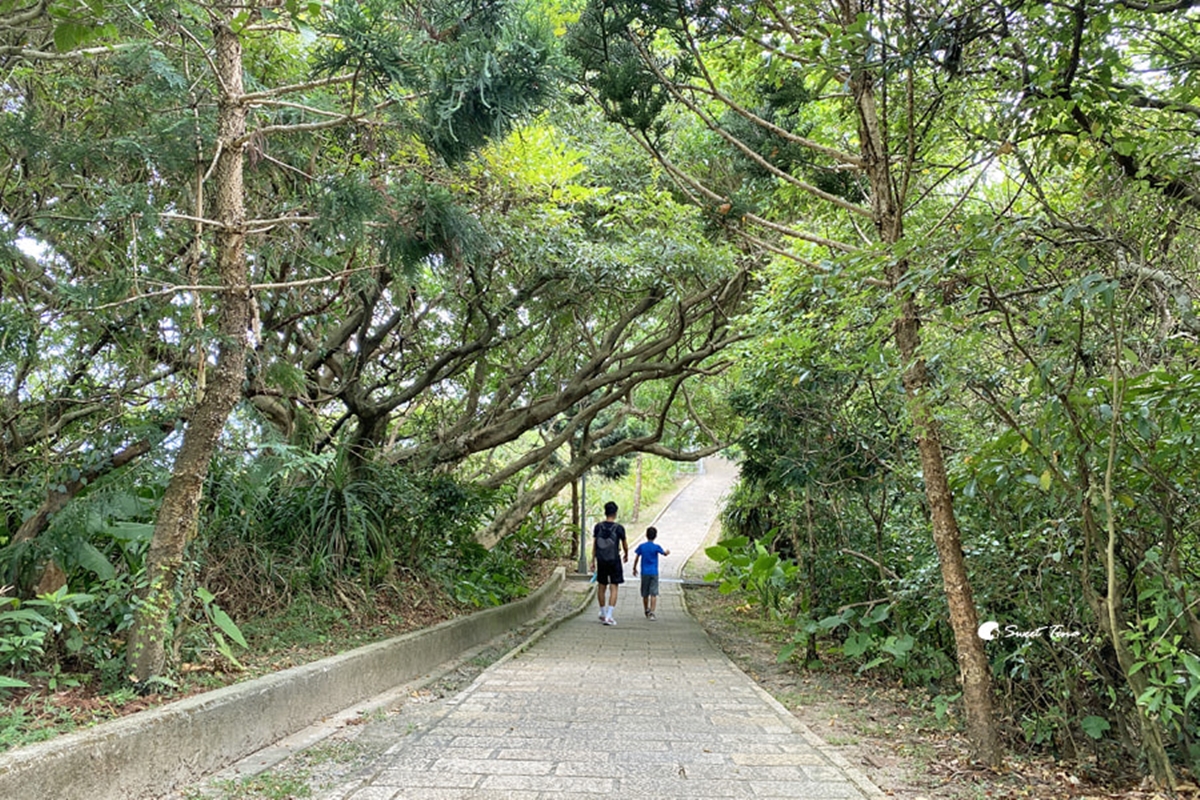 別只逛金山老街！新北人私藏６大祕境：無敵海景公車亭、全台戶外最大美術館