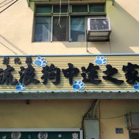 彰化員林流浪狗中途之家一日志工招募