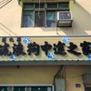 彰化員林流浪狗中途之家一日志工招募