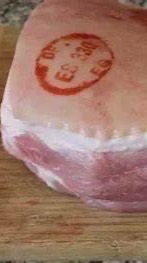 時光流浪組