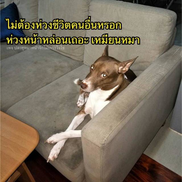 My Image 75