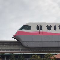リゾラ協会