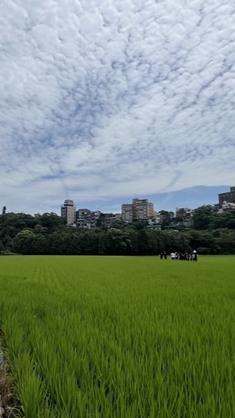 自然共感與環境工作室