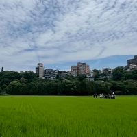 自然共感與環境工作室