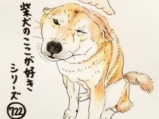 今snsで話題の犬イラスト ここ柴 って その1 いぬのきもちnews