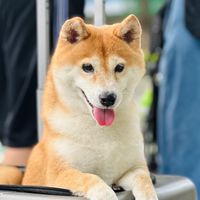 攝影共學教室-站姐養成計畫