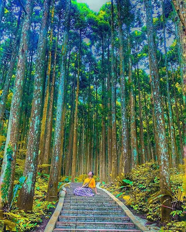 新竹熱門景點,新竹景點,新竹秘境,新竹打卡景點,新竹旅遊,新竹秘境景點,馬武督探索森林