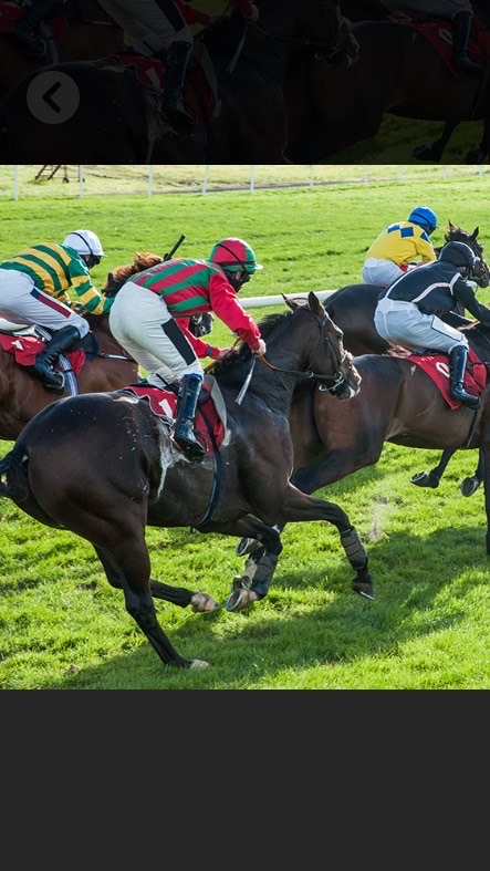 アオイ競馬のオープンチャット