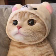หาปะป๊ากับมะม๊า😾💝