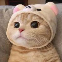 หาปะป๊ากับมะม๊า😾💝