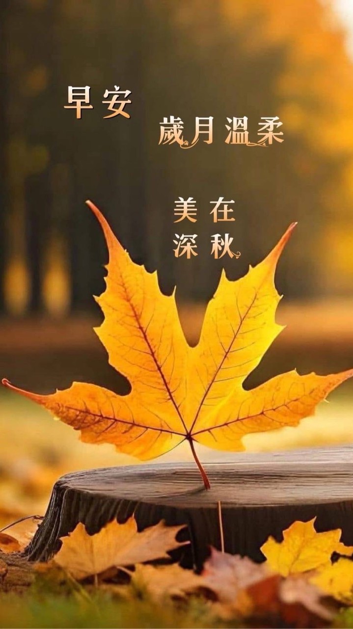 💖心語閒聊小屋-分享日常與心情聊室🌼