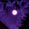 💖心語閒聊小屋-分享日常與心情聊室🌼