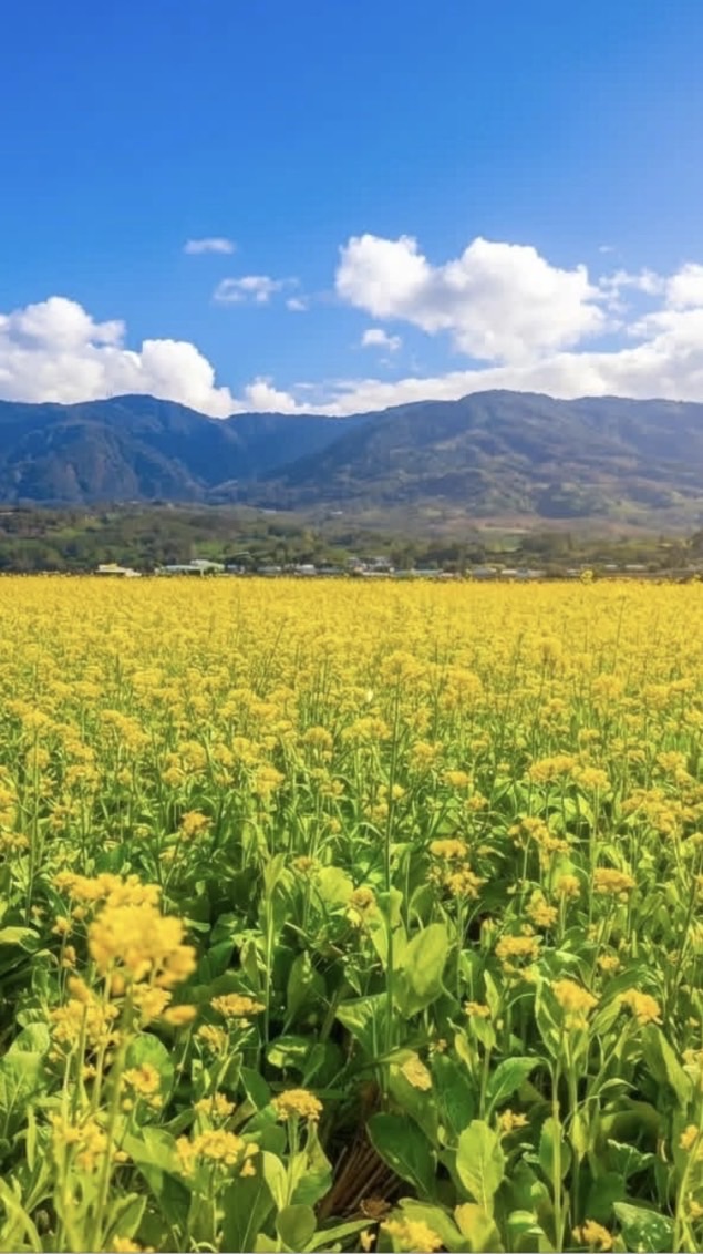 E/I友善聊天室。。。漫談時光交誼廳🌺🌷🥳