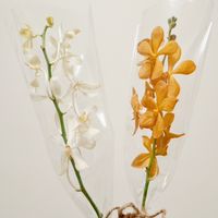 LYB. lab療癒生活實驗室