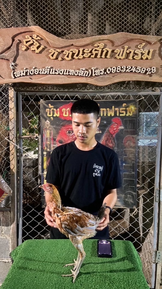 ก.กิตติวัฒน์ ฟาร์ม