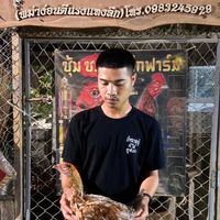 ก.กิตติวัฒน์ ฟาร์ม