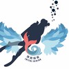 豫教娛樂潛水