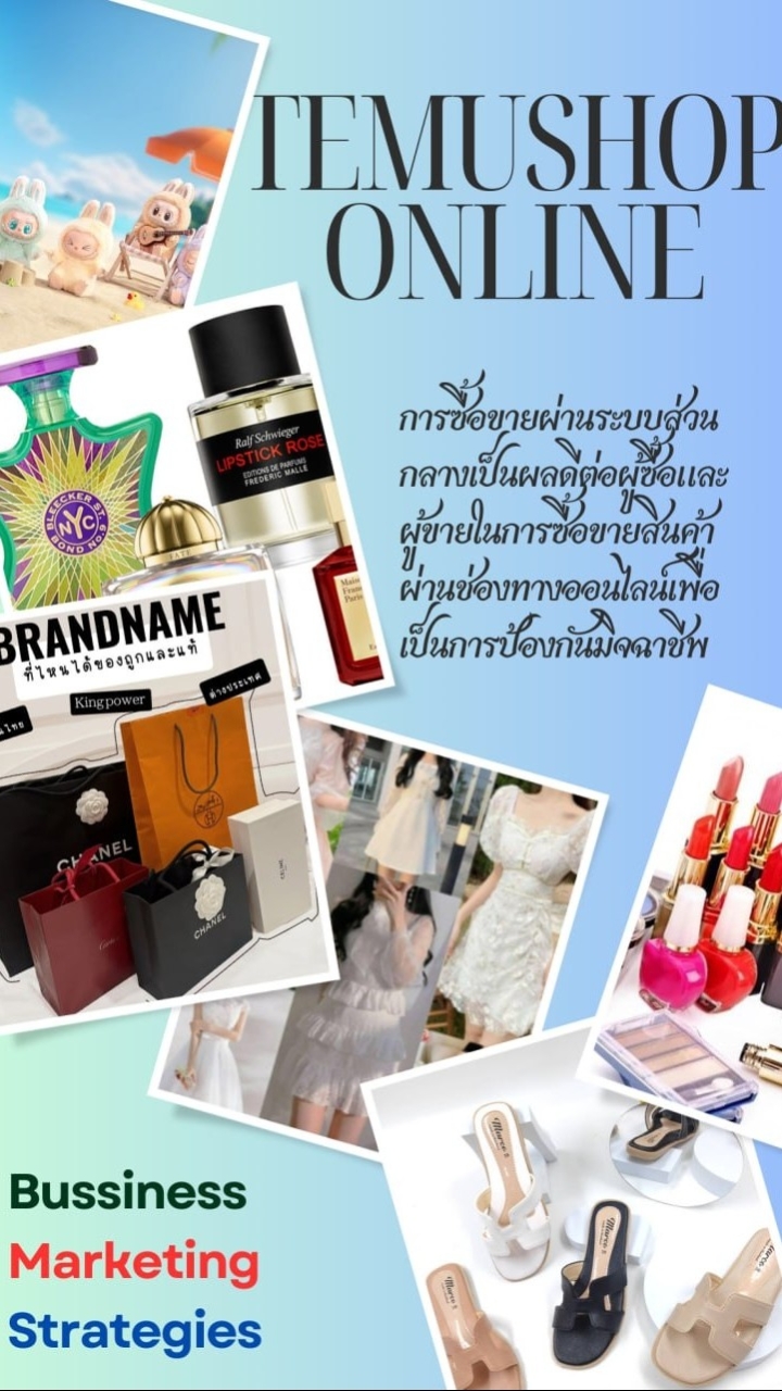 TEMU SHOP ONLINE 1
