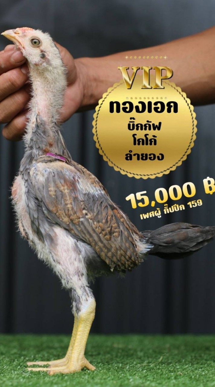 ครูวุธ ซุ้ม ช.เริงชัย สุวรรณภูมิ
