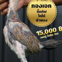 ครูวุธ ซุ้ม ช.เริงชัย สุวรรณภูมิ