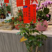 東興生活燈飾館
