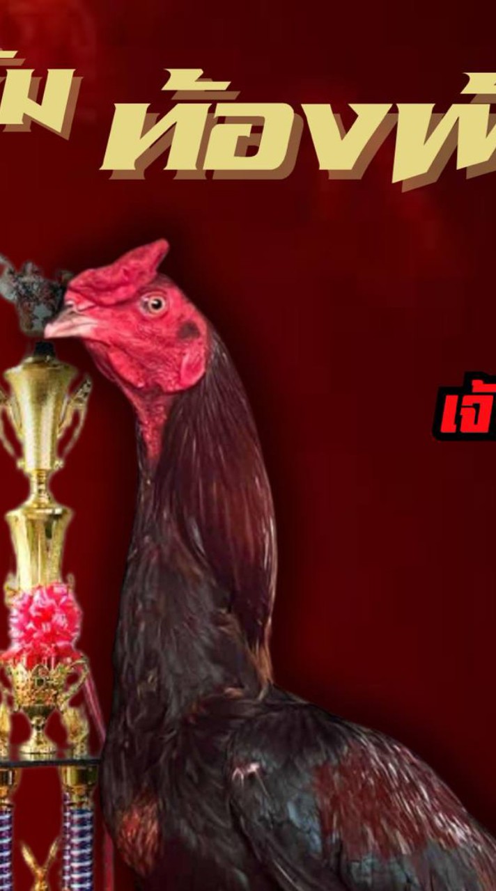 ซุ้มท้องฟ้ารุ้ง(พัฒนาไก่ชนสายเลือดเงินล้าน)