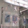 2025年度飛鳥未来入学予定♩