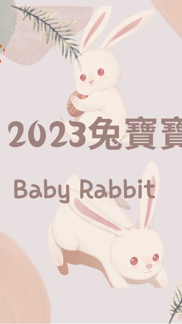 2023兔寶寶媽媽🐰Baby Rabbit🐰