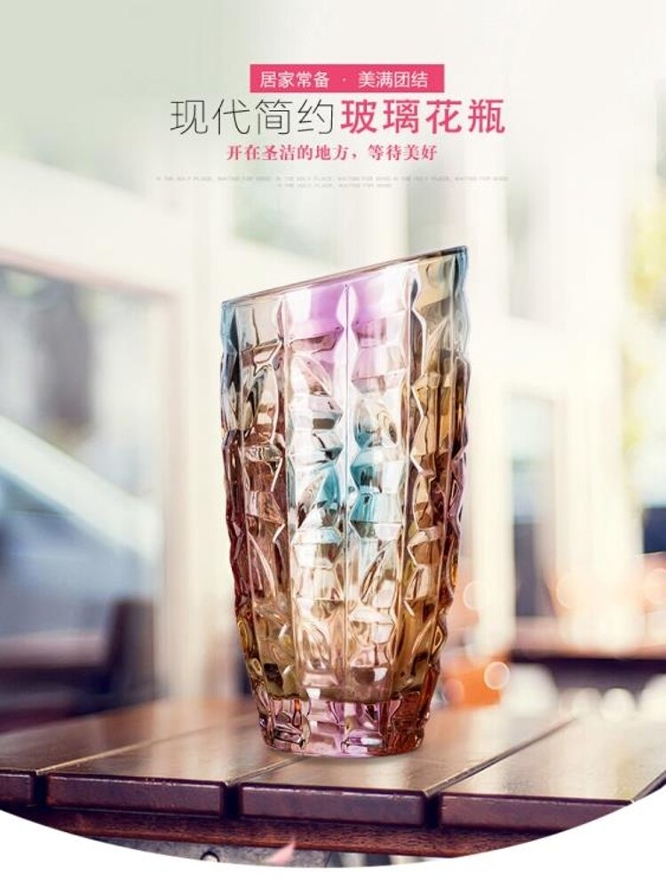 花瓶花瓶加厚客廳插花擺件水培洗手間百合桌面花瓶小號玻璃透明花器