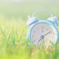 サレ妻サレ夫の前向きになれる部屋～離婚or再構築～