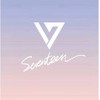 SEVENTEEN Carat