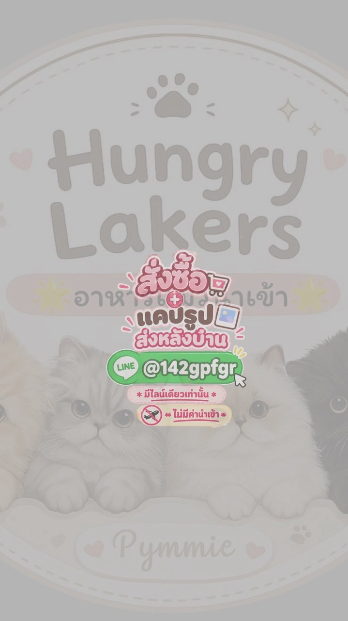 Hungry Lakers 🐈✨