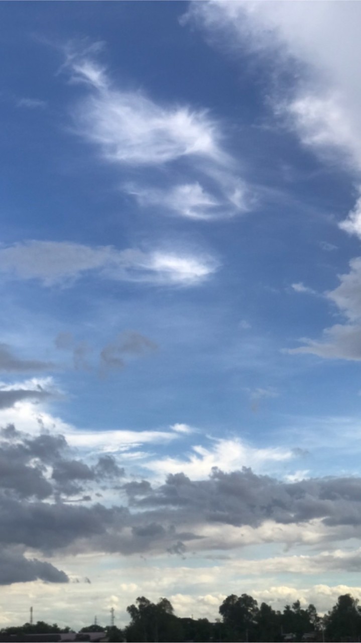 🌥·˚🛵📔🥛 𖥾.