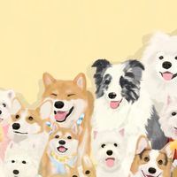 美容師寵牠狗貓福利社團購（飼料、零食、罐頭、用品）