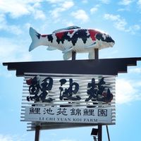 鯉池苑錦鯉拍賣區