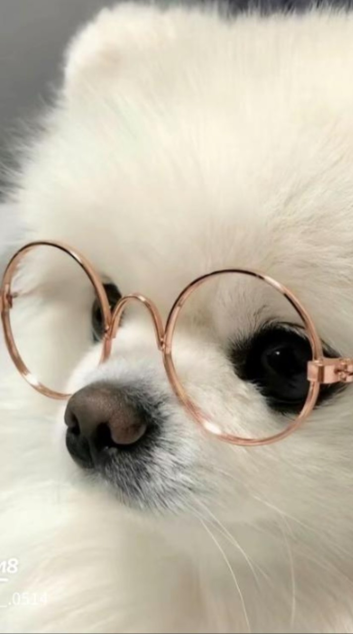 勉強•推し活などいろんなこと語りまくろｯみん勉してる人も集まれｯ